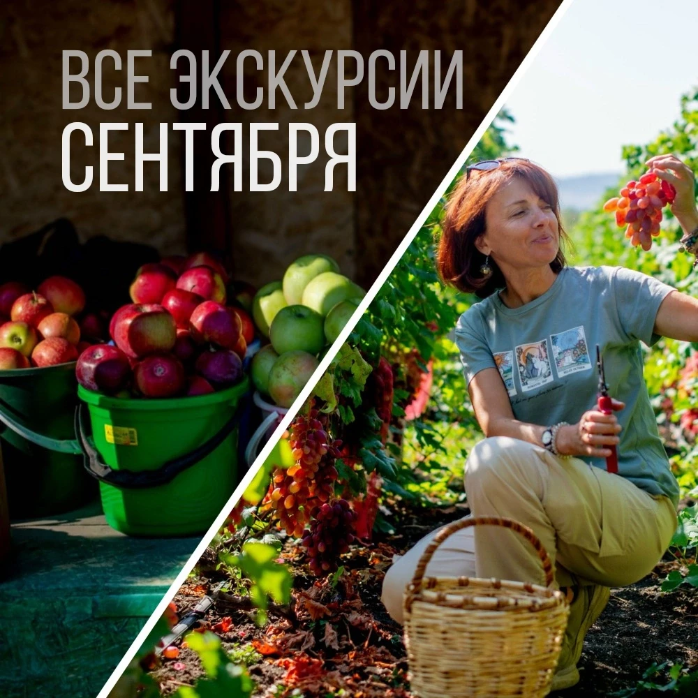 РАСПИСАНИЕ: ВСЕ ЭКСКУРСИИ СЕНТЯБРЯ