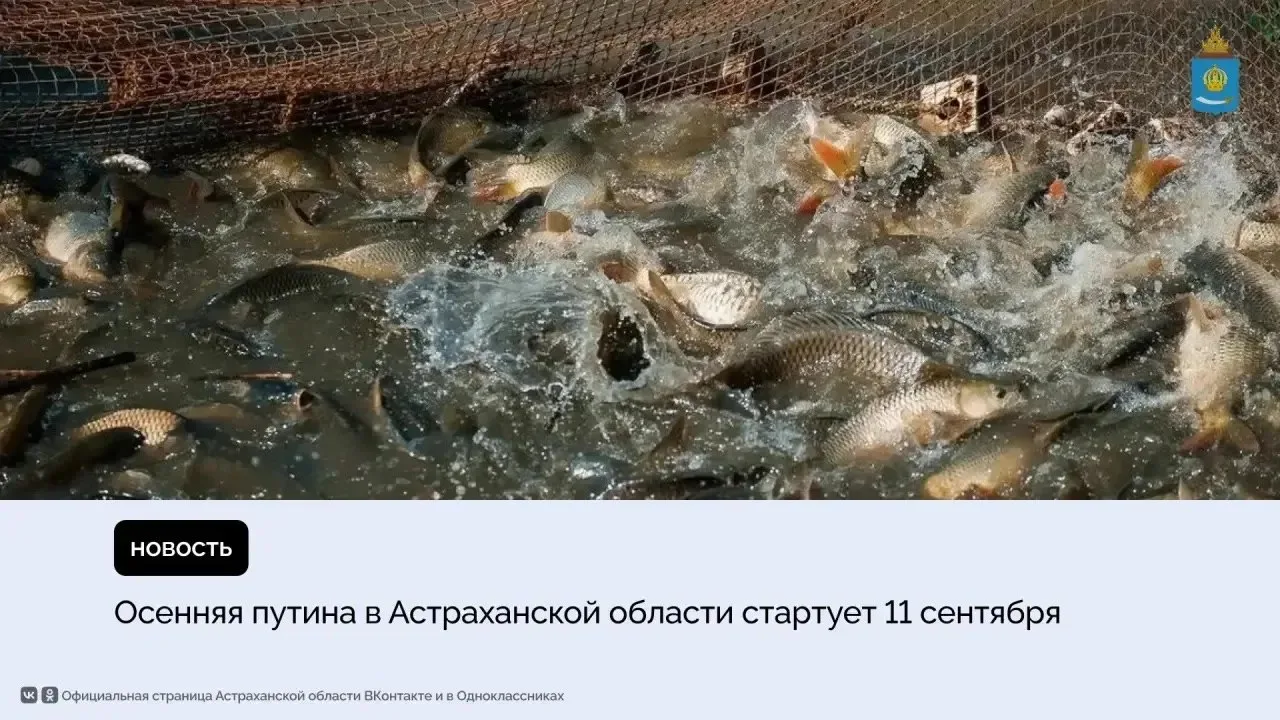 В Астраханской области началась осенняя путина. К промысловой добыче рыбы приступили ок...