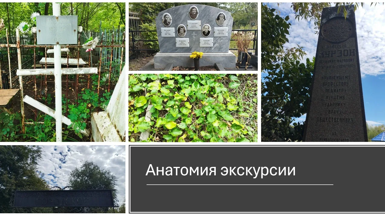 Самая скучная экскурсия – когда все стоят и молча слушают. Самая живая – когда кто-то т...
