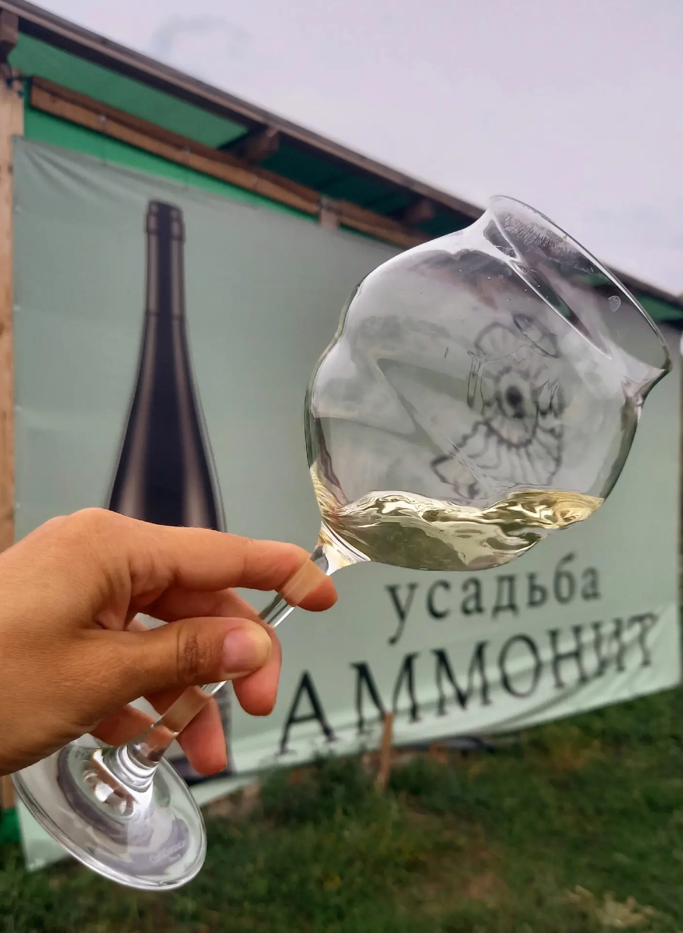 Всего одно свободное место осталось на релакс-тур на виноградное хозяйство «Усадьба Аммонит» с винно