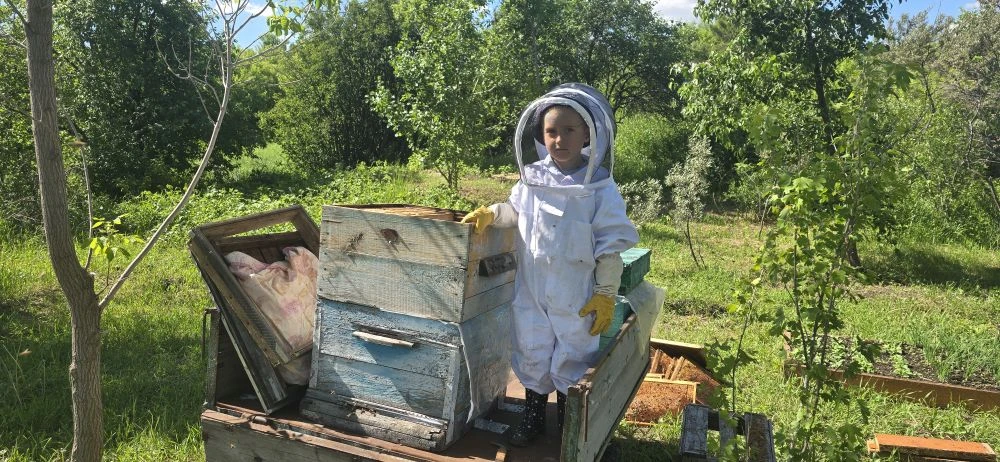 #ПриемственностьПоколений 

 Вчера весь день были на пасеке, без связи.

- Добавили рамки на первый 