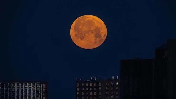 🌕 Сегодня ночью над Россией можно увидеть «Оленью Луну»

Спутник Земли будет казаться особенно боль