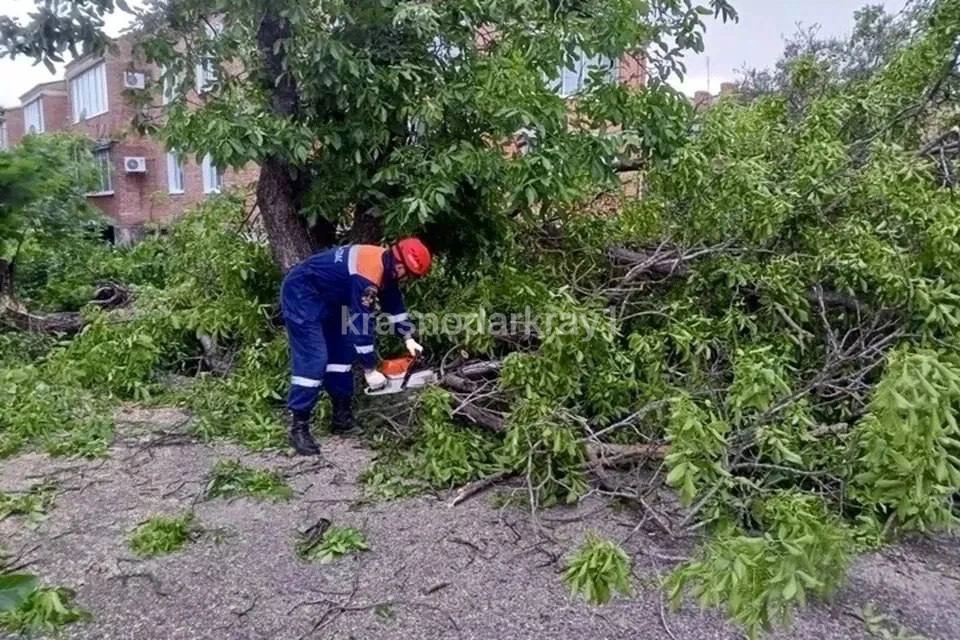 Непогода в Краснодарском крае: ветер валит деревья, местами подтопления  В регионе из-за ливней и си