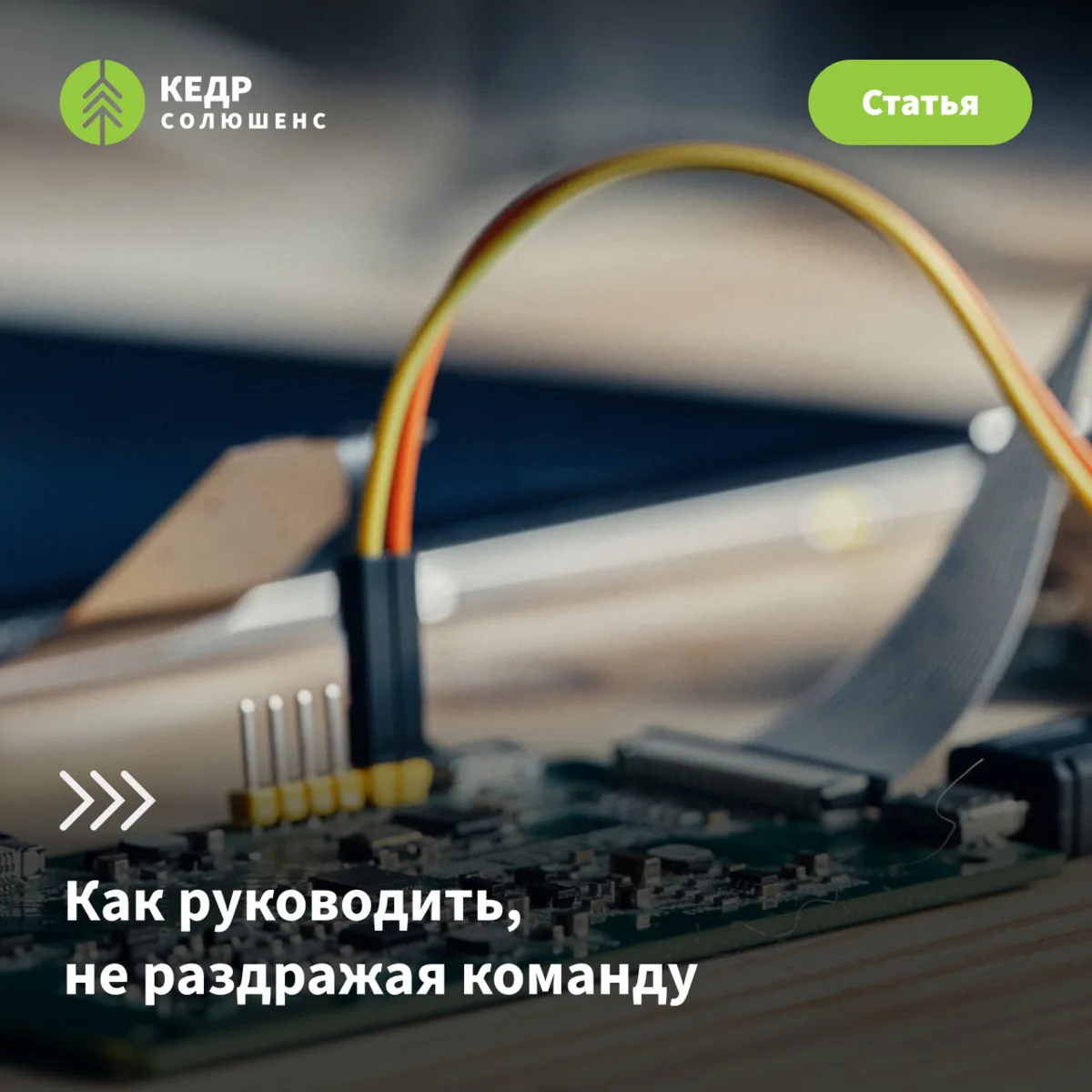 Как не бесить разработчиков: советы по управлению проектами 🤬❌