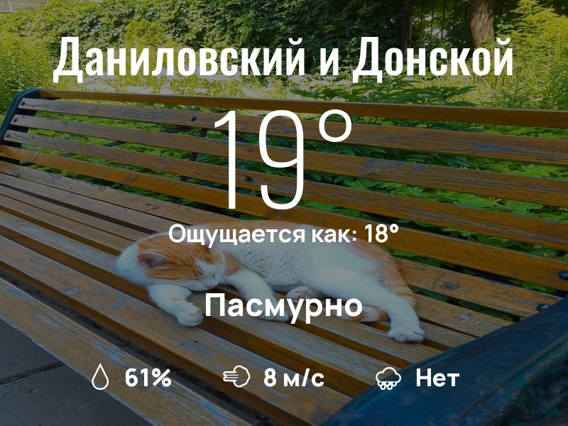 Что с погодой в Даниловском и Донском?