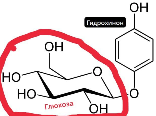 Альфа-арбутин, пигментация и пара слов про 6-ю армию Паулюса.