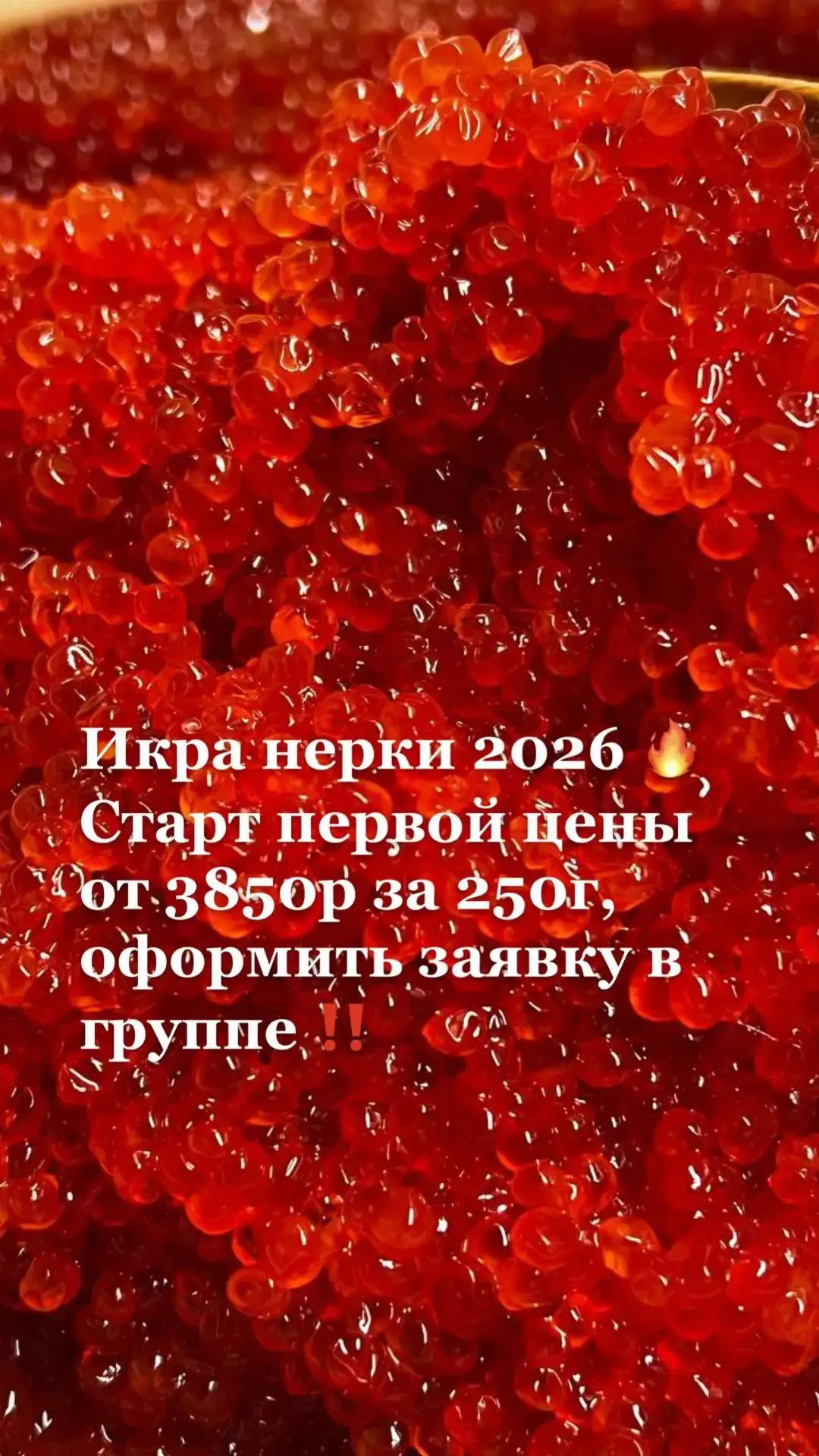 🚨 ТОЛЬКО ДО 19 ИЮНЯ: ПЕРВАЯ ИКРА НЕРКИ 2026 С КАМЧАТКИ 🔥

💰 Цена для первых. Мы зафиксировали для