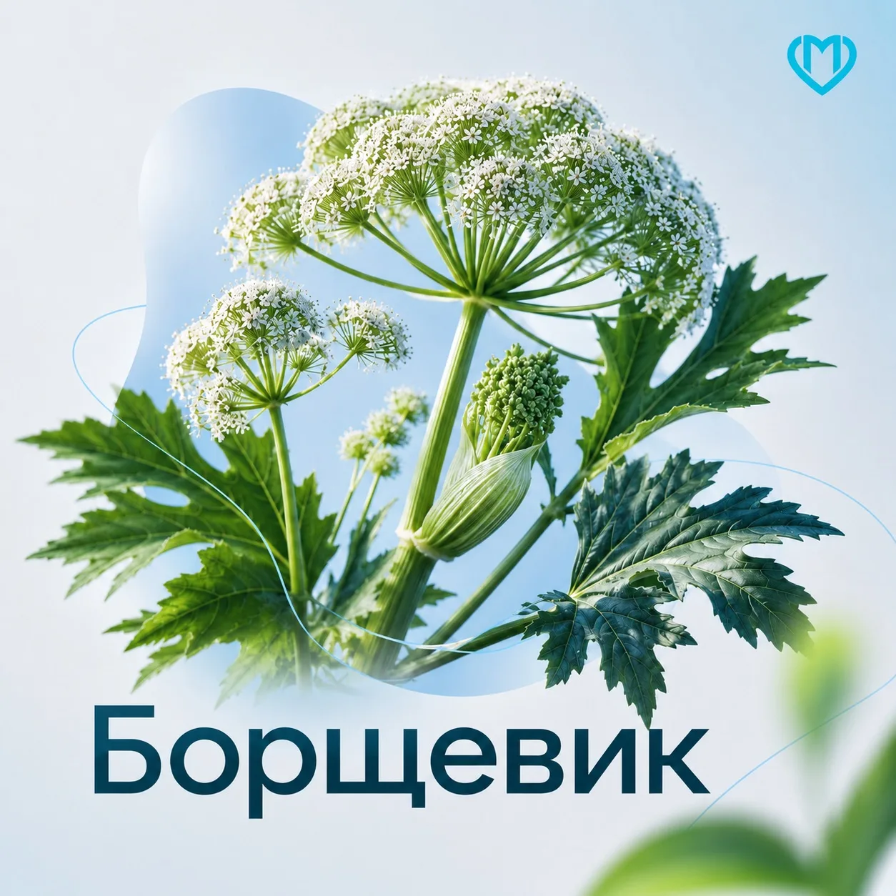 Полевые цветы  - это очень красиво и по-летнему романтично 🌻