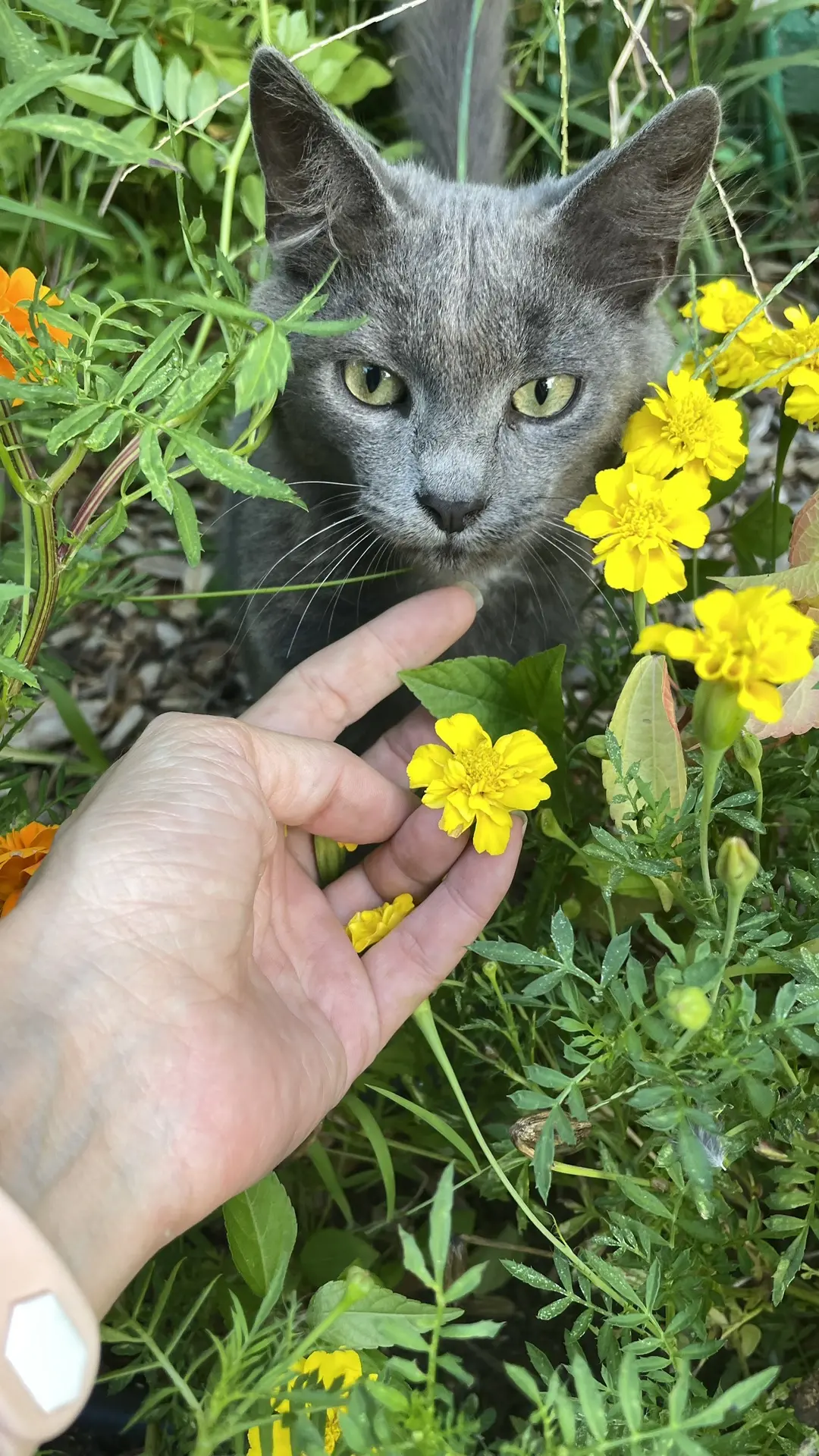 Доброе утро, друзья❤️