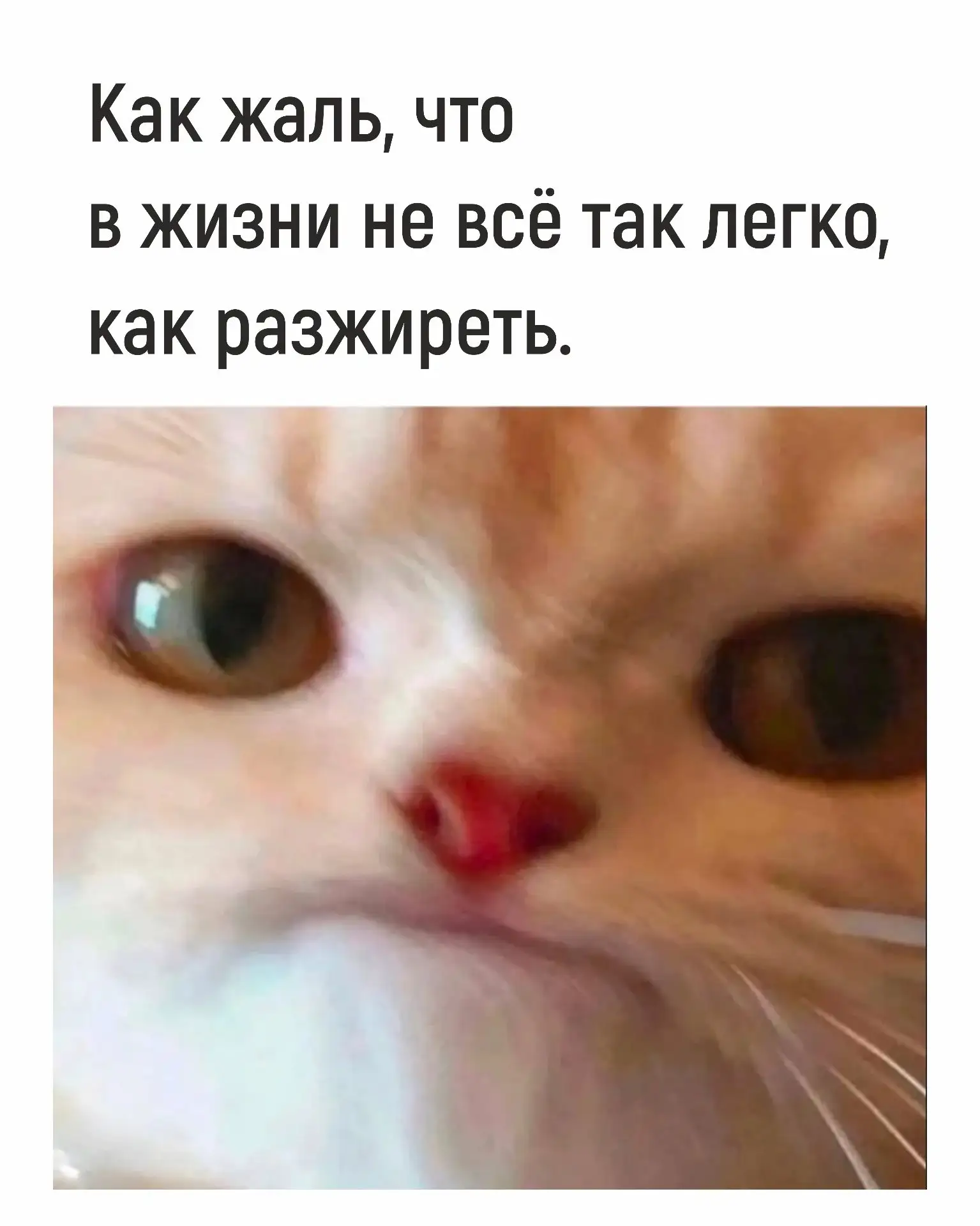 Очень жаль 👌