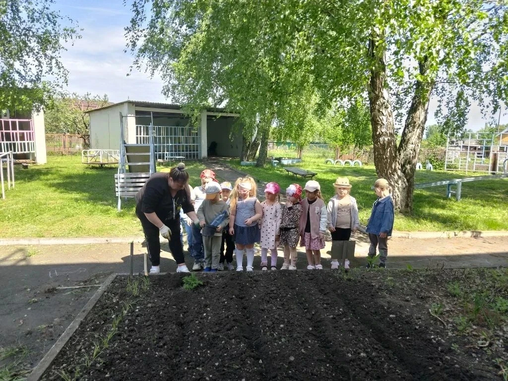 Чудо-грядки.Огород дружно сажаем,урожай все получаем!🌱🌾🍀