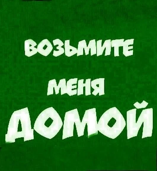 ✋Всем Здравствуйте!✋
 😉Я хочу с вами познакомиться ,меня зовут Боцман ,мой возраст 7-8 лет,  я коне