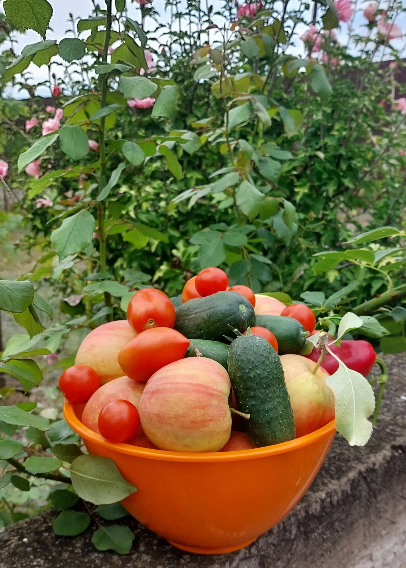 У меня своя красота ☺️