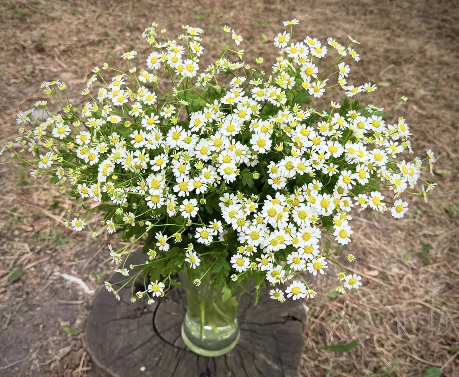 🌼 В цветочную лавку «Счастливая» приехало цветочное облако!

У нас потрясающая новинка — невероятно