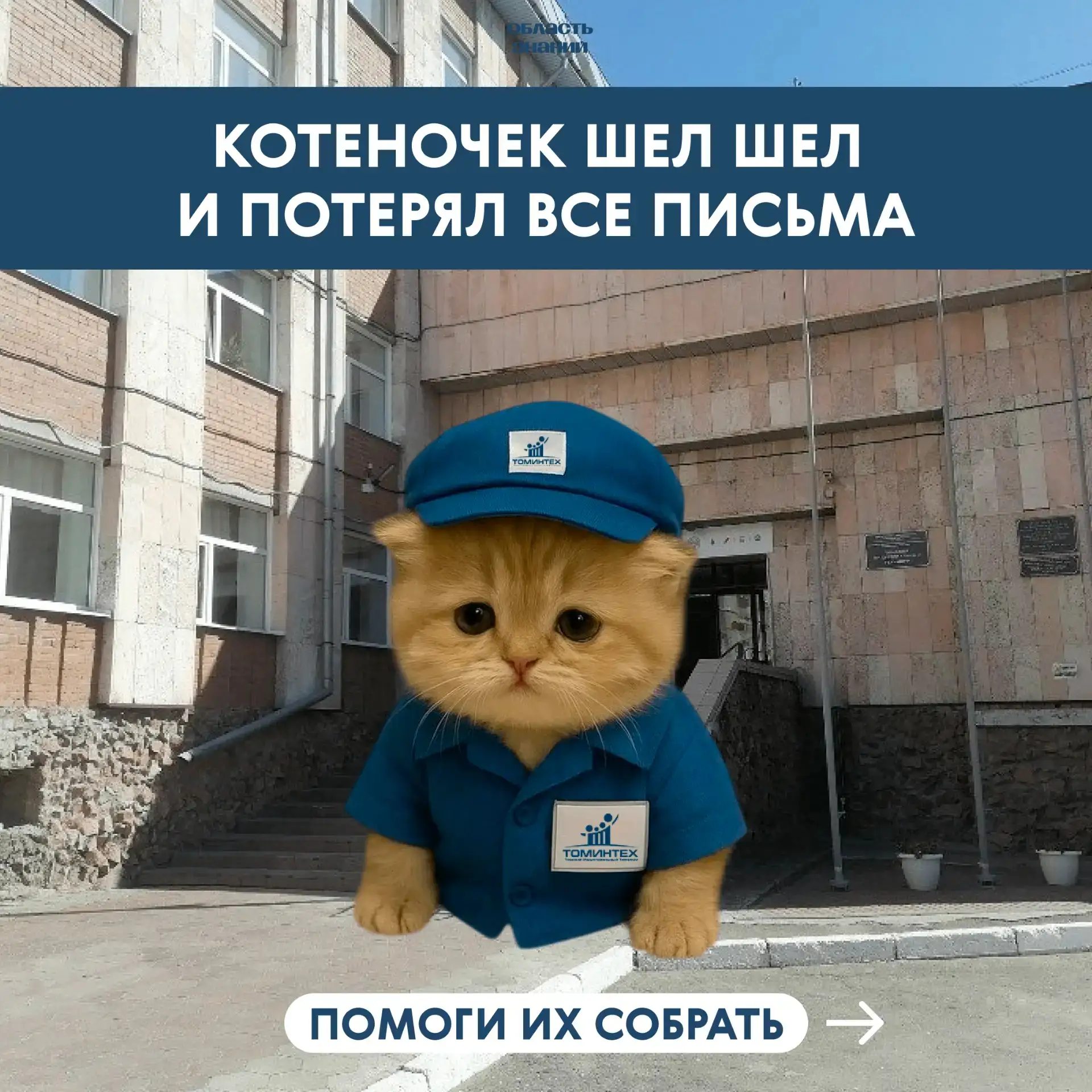 🐈📬 Срочное включение от пушистого сотрудника отдела почты
