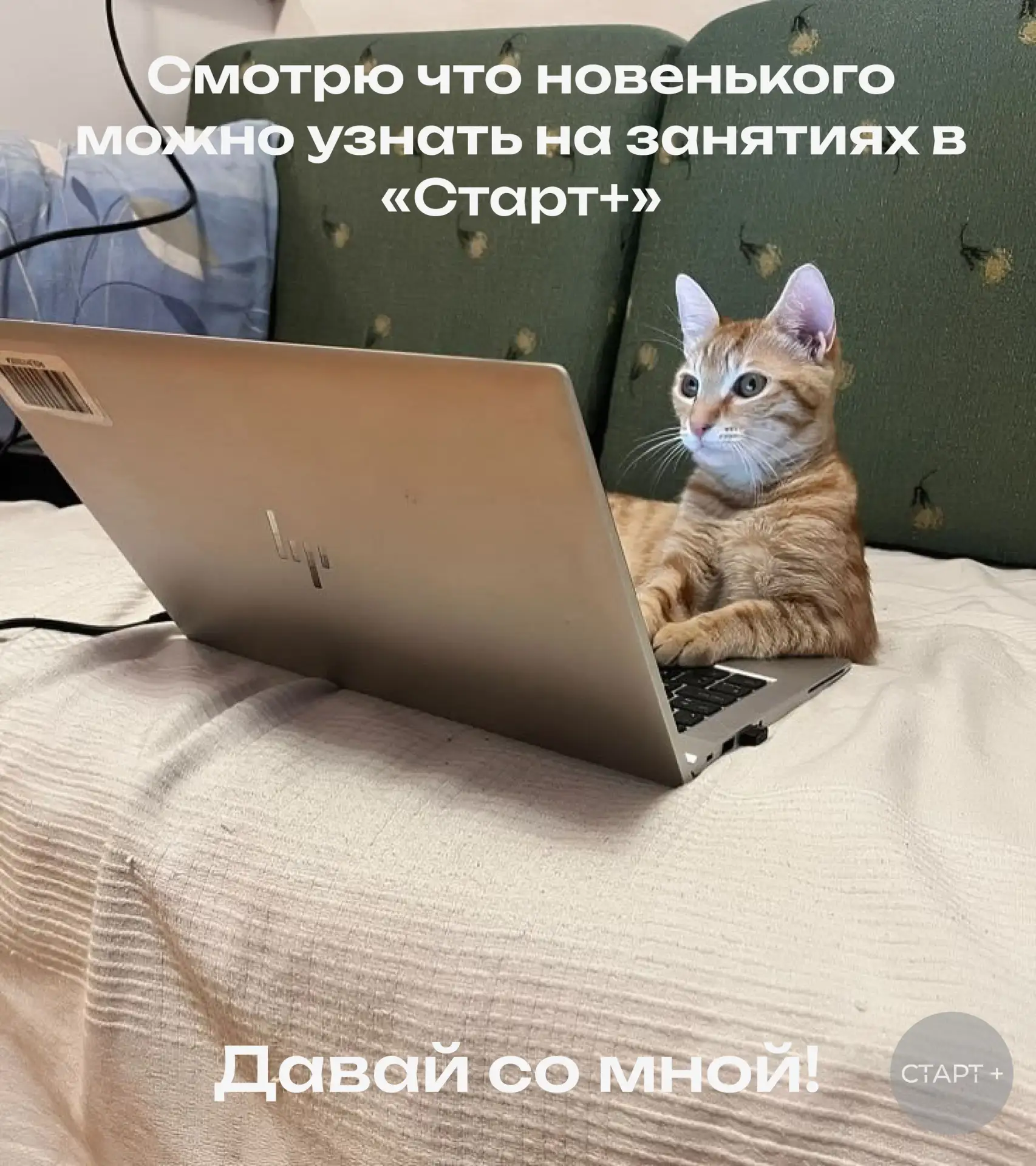 ⭐ В рамках программы «Моя первая профессия» в «Старт+» каждый может испытать себя и поз...