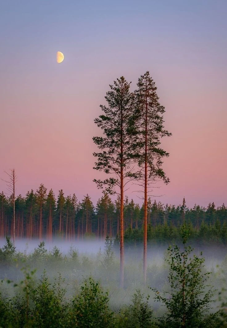 🌙 Заканчиваем строками Омара Хайяма: