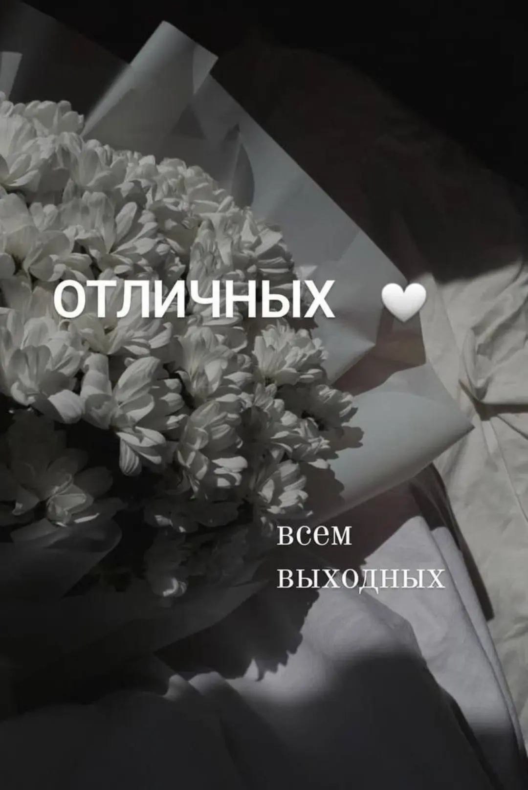 Девочки привет!!!