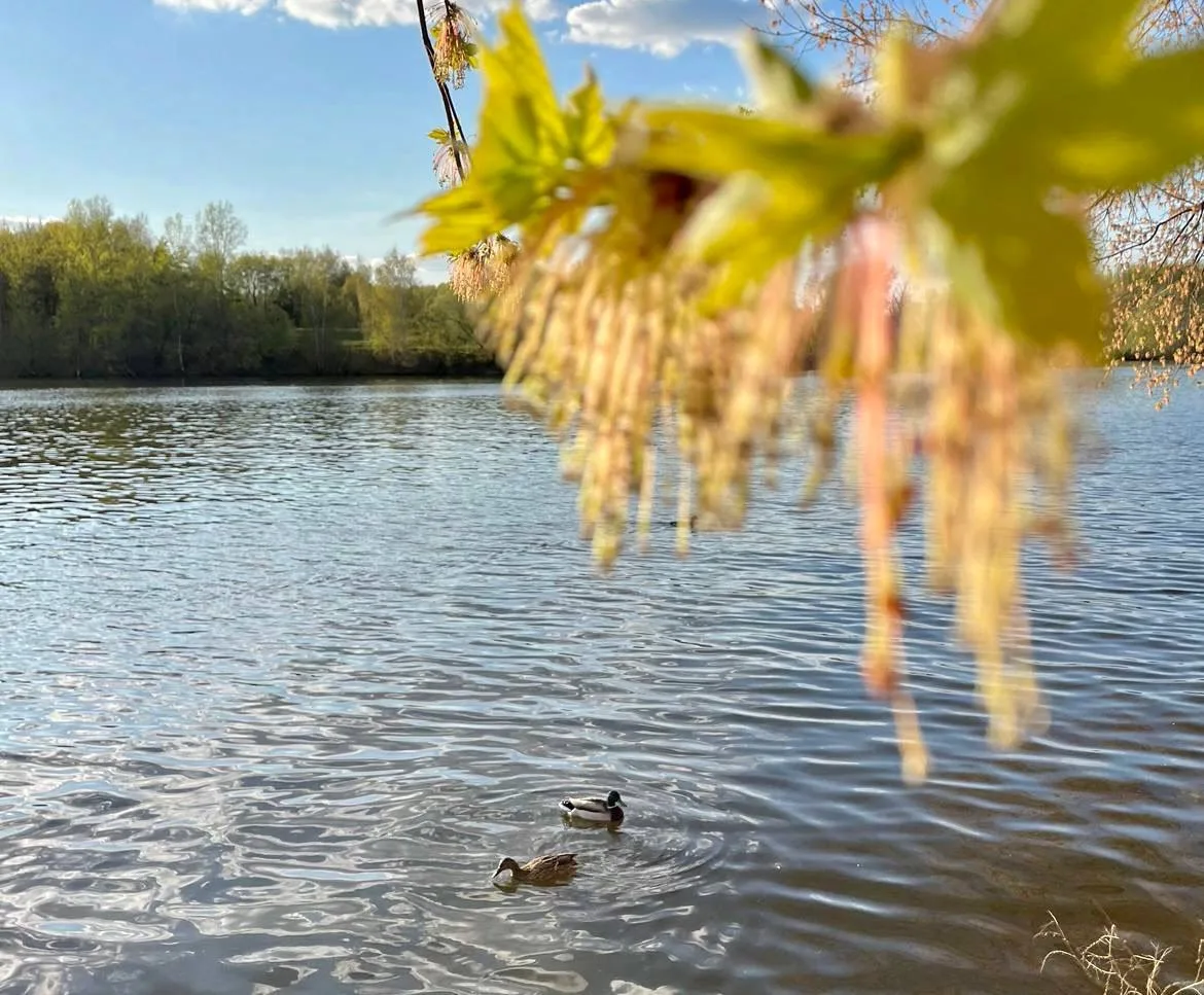 💫Желаем доброго утра и отличной рабочей недели!