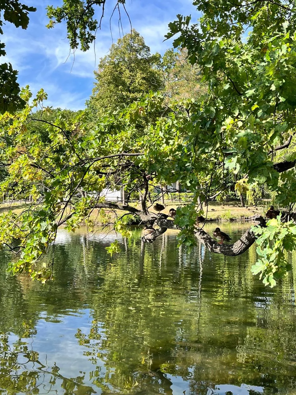 Последнее воскресенье лета ☀️