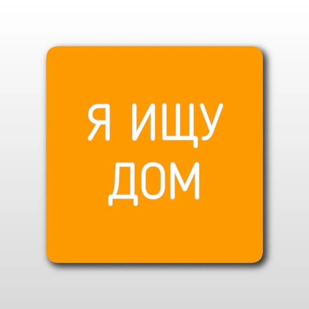 Барни — рыжий кот, который так хочет стать чьим‑то счастьем… 💔