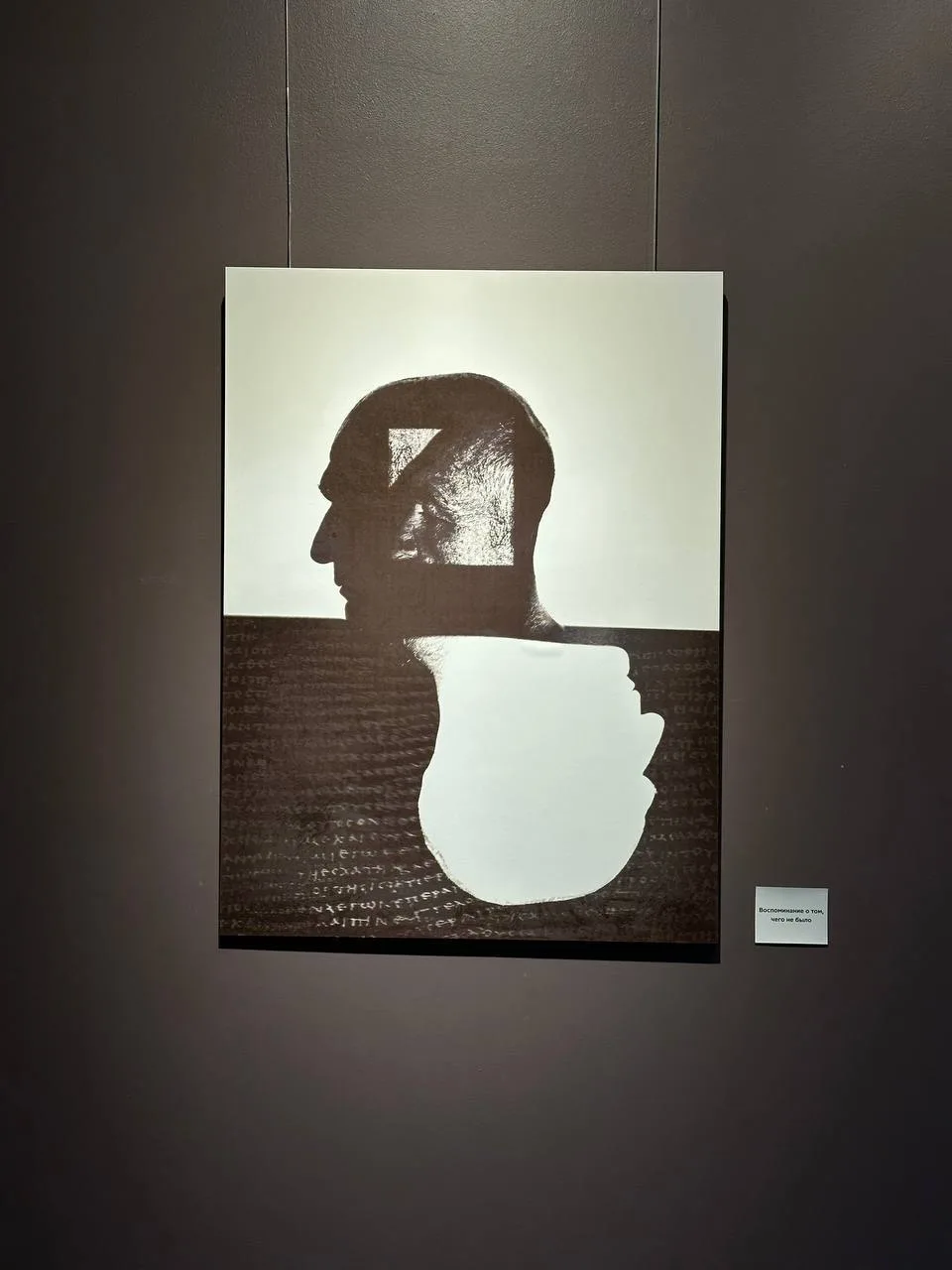 🎨Четыре бесплатные выставки на Васильевском острове