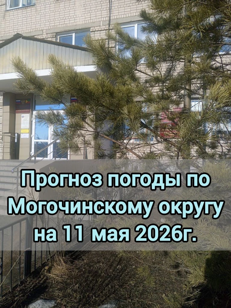 ⛅️Прогноз погоды по Могочинскому округу на 11 мая 2026 г.   ⛅️Преимущественно без осадков. 🌬️Ветер ю