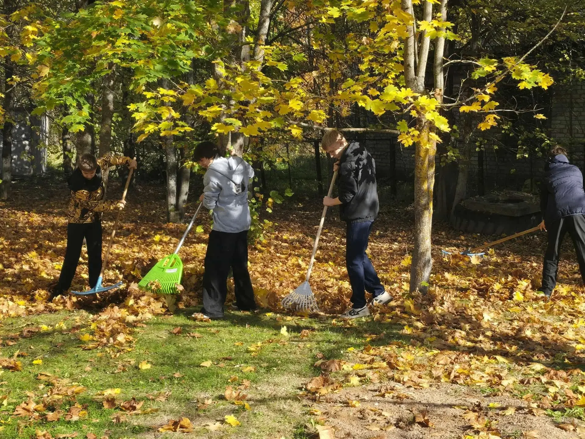 🍁 Золотая осень преображает Тверскую область, но вместе с ней приходит время позаботит...