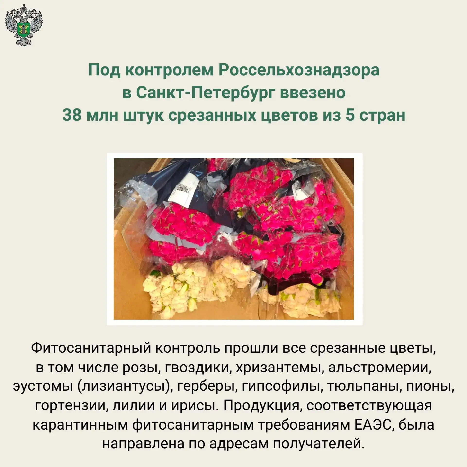 🔗 Подробнее на сайте