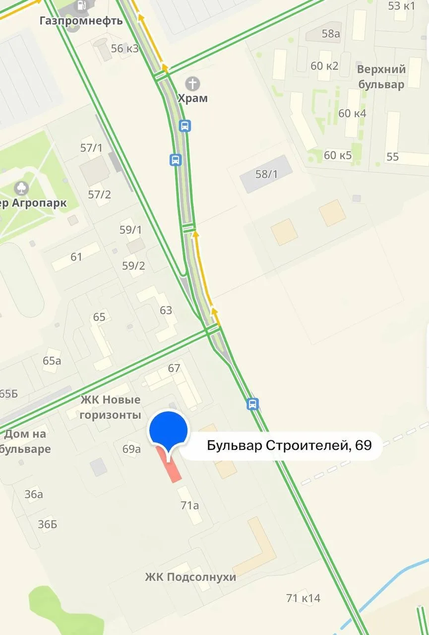 Медведь снова появился возле Верхнего бульвара