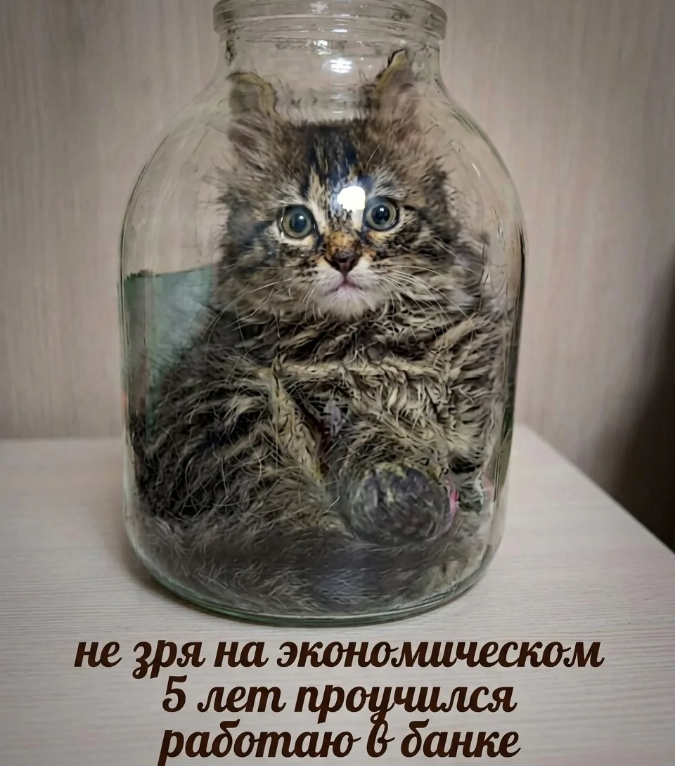 😂 Когда понял задачу, но немного не так

Для тех, кто ищет работу без сюрпризов — канал вакансий 

