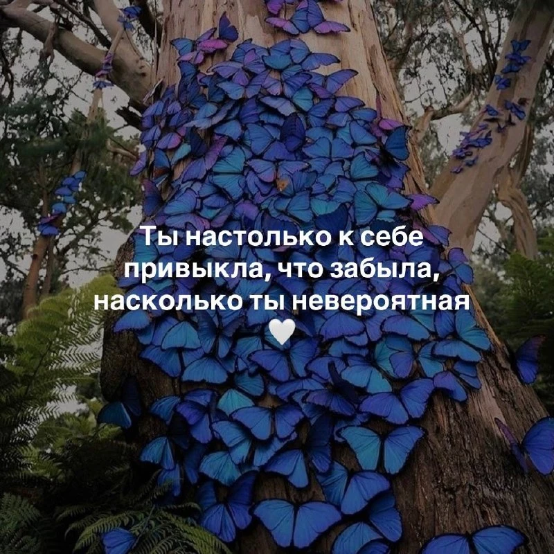 ❤️ Тебе послание…