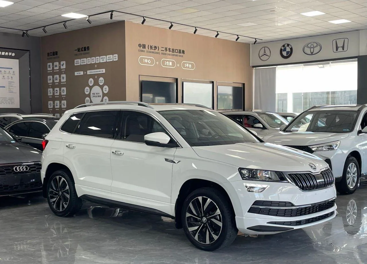 🚗 Skoda Karoq