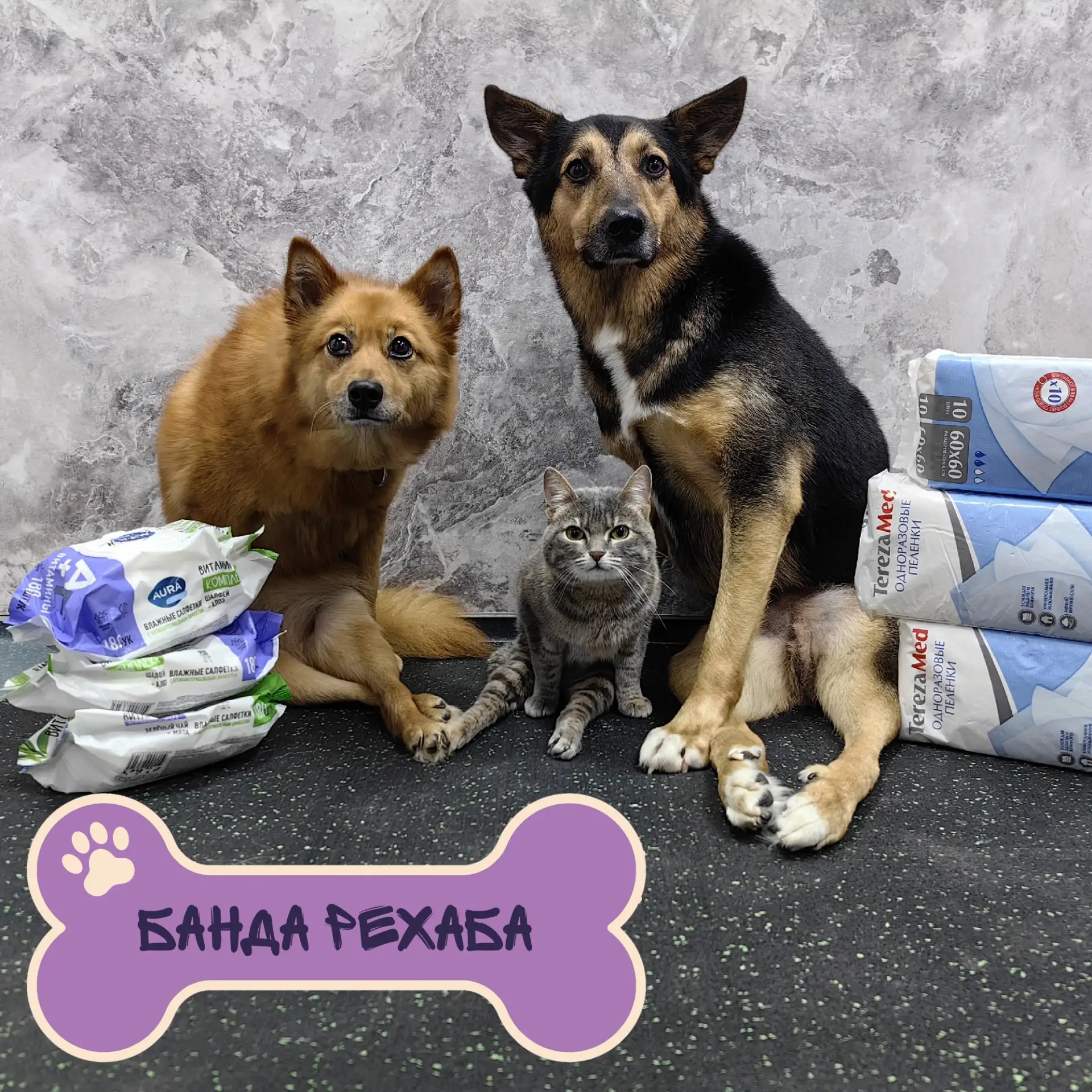 Спасибо за неравнодушие!❤️