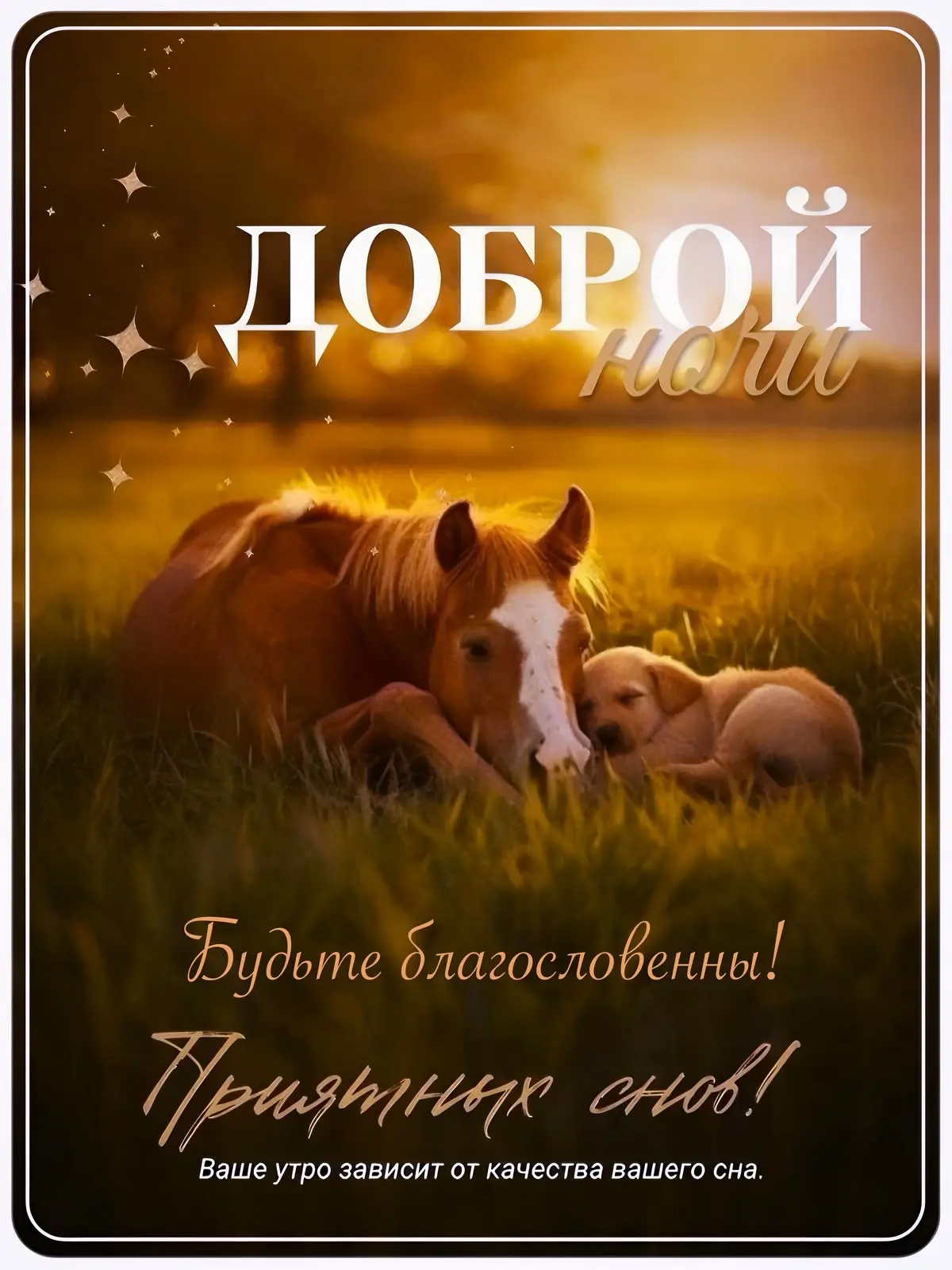 Понравилась открытка? Оставьте реакции ❤️