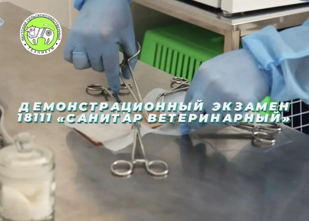 НАЦИОНАЛЬНЫЙ ПРОЕКТ «КАДРЫ» В СФЕРЕ ВЕТЕРИНАРИИ: ИТОГИ ДЕМОНСТРАЦИОННОГО ЭКЗАМЕНА ПО СП...