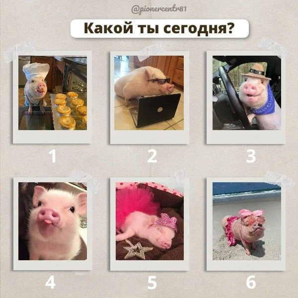 ☀️ Новый день — новая версия тебя

Смотри карточку и выбирай — кто ты сегодня из поросят ⬆️

💫 Подп