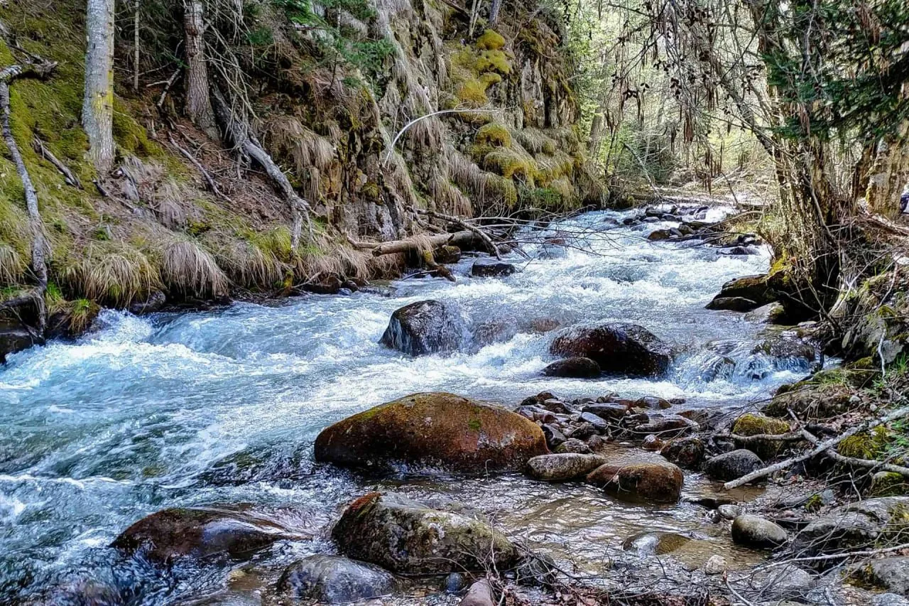 🌲Экопарк «Долина водопадов» в Карелии