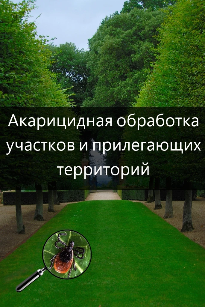 Уважаемые родители, завтра 6 мая, будет проводиться акарицидная обработка территории. У...