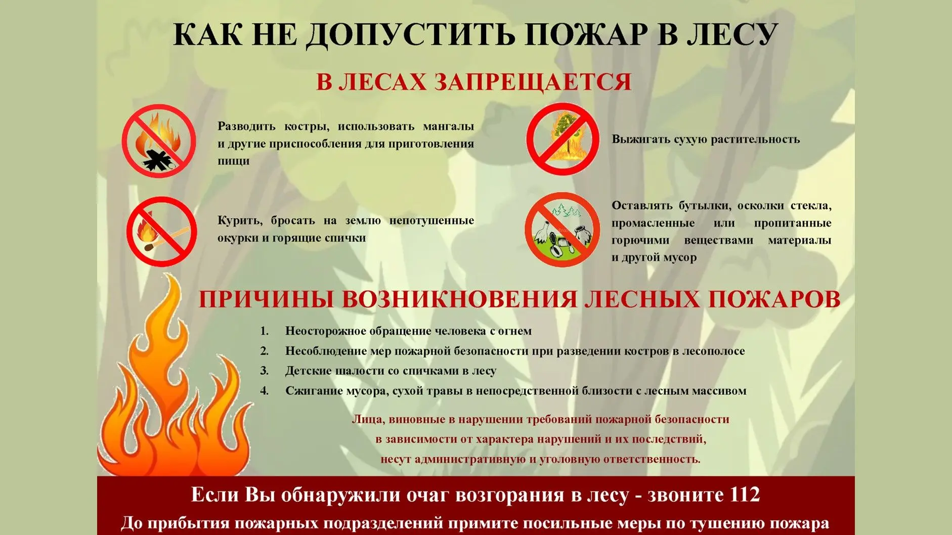 Погода дала воронежским лесам небольшую передышку, и класс пожарной опасности пошел на ...