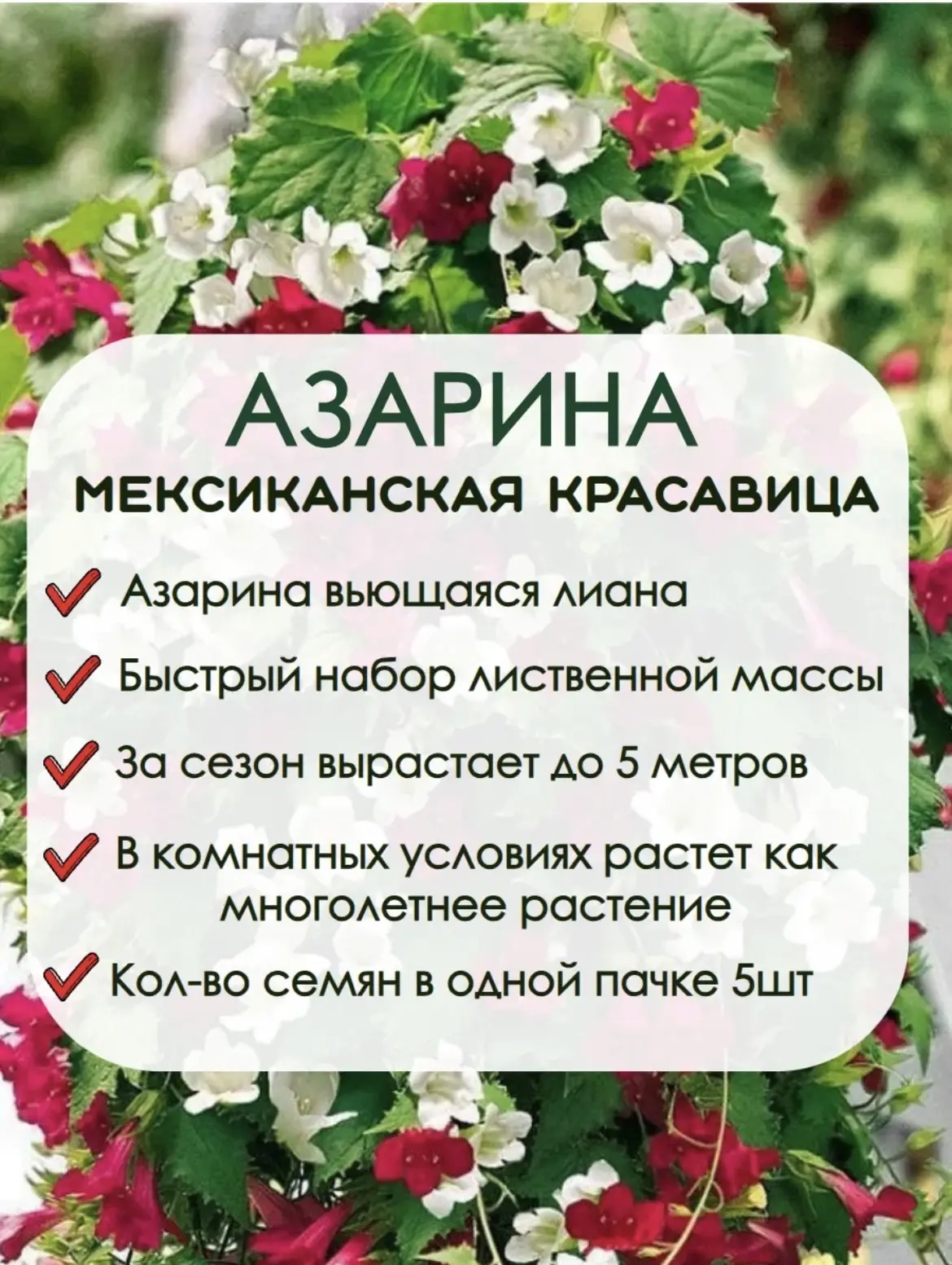 И это 😂  Девочки, серьезно такая красота есть ?  Блин с этими ИИ фото и не поймешь как реально выгля