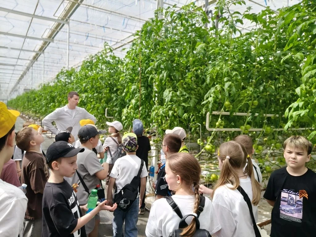 «НейроВитамины» на грядке: салат, огурцы и море открытий! 🥬🥒🍅Небольшой рост – а витаминов вагон!   🚀