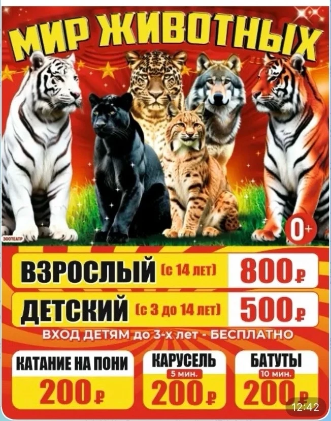 🐅✨ Впервые в г. Павловск: Встречайте Царей Джунглей и других диких животных! ✨🐅