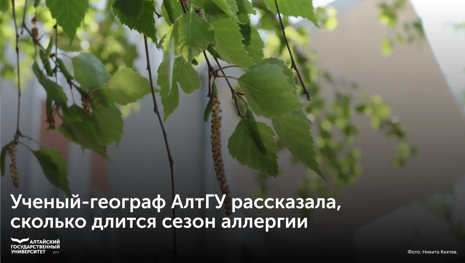 🌳 Ученый-географ Алтайского государственного университета Алена Стребкова рассказала, ...