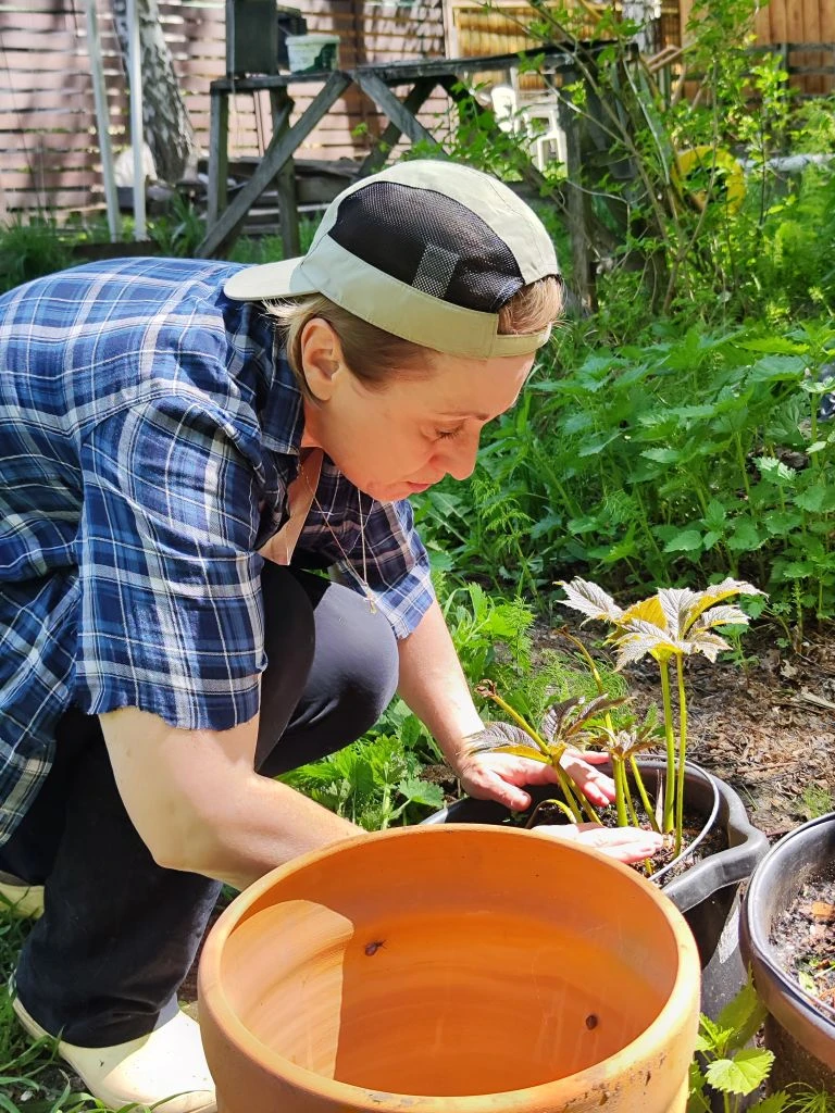 Сегодня по плану Сад-Огород.