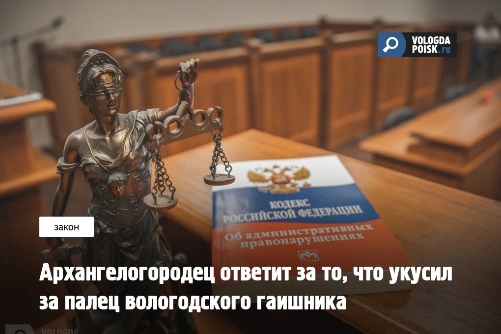 В Вологде в суд направлено уголовное дело в отношении 50-летнего уроженца Архангельской области, кот