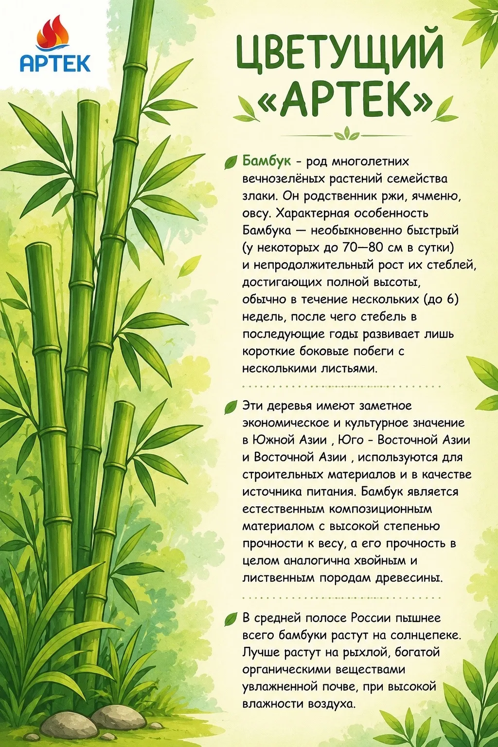 ЦВЕТУЩИЙ «АРТЕК»