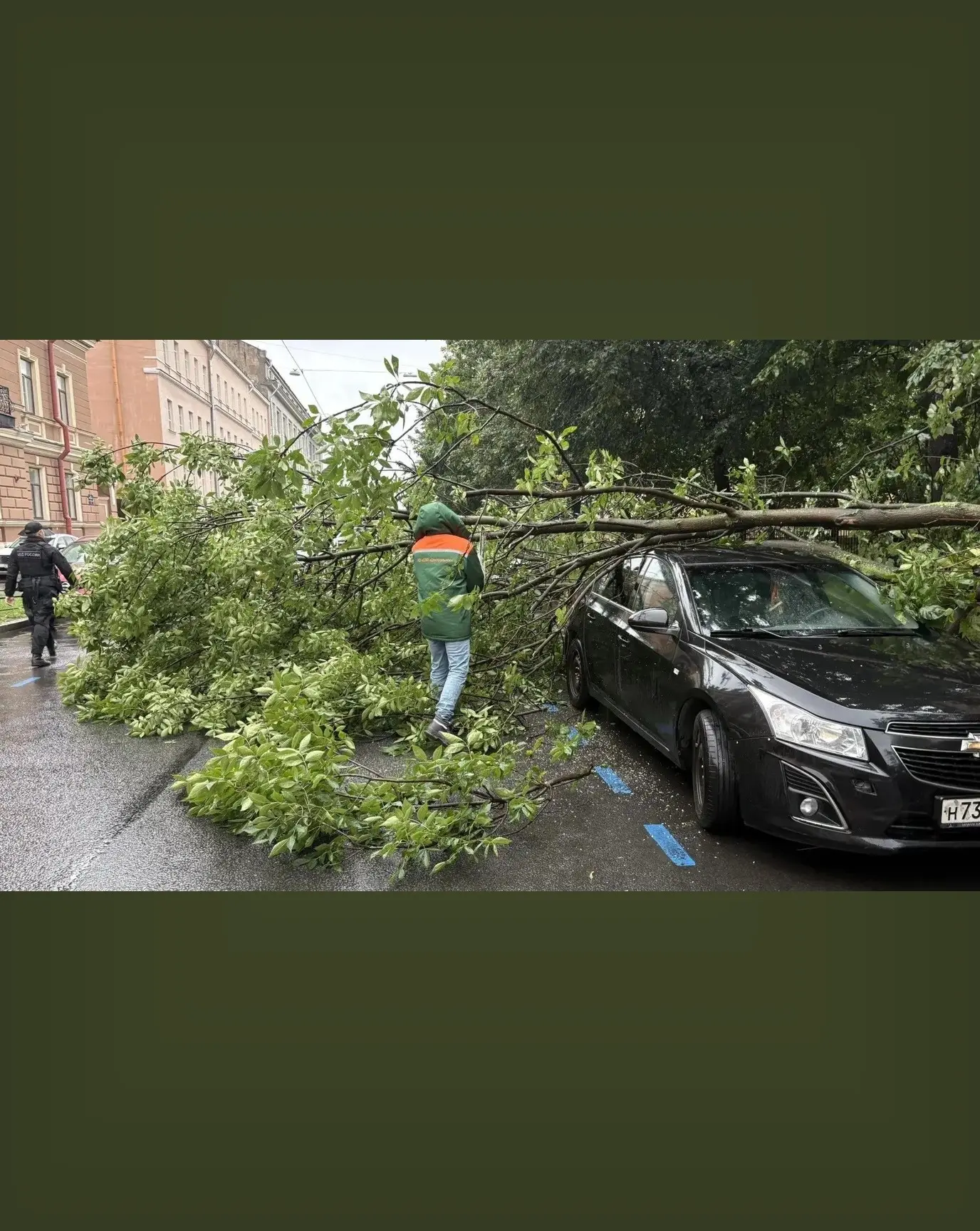 🪾 Ветром повалило десятки деревьев в Петербурге