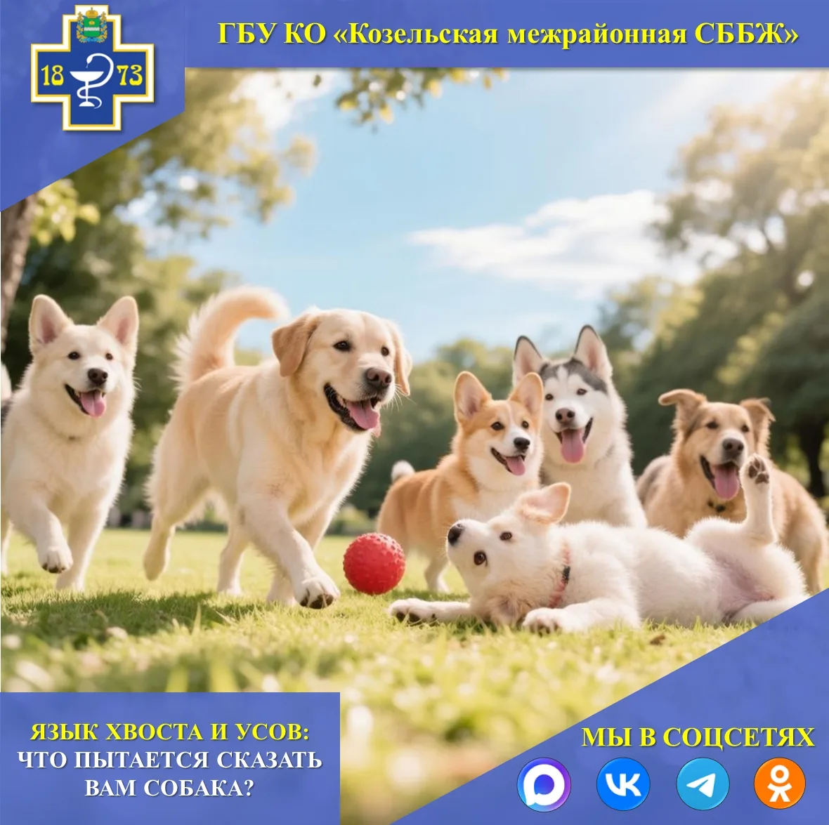 🐕ЯЗЫК ХВОСТА И УСОВ:ЧТО ПЫТАЕТСЯ СКАЗАТЬ ВАМ СОБАКА?