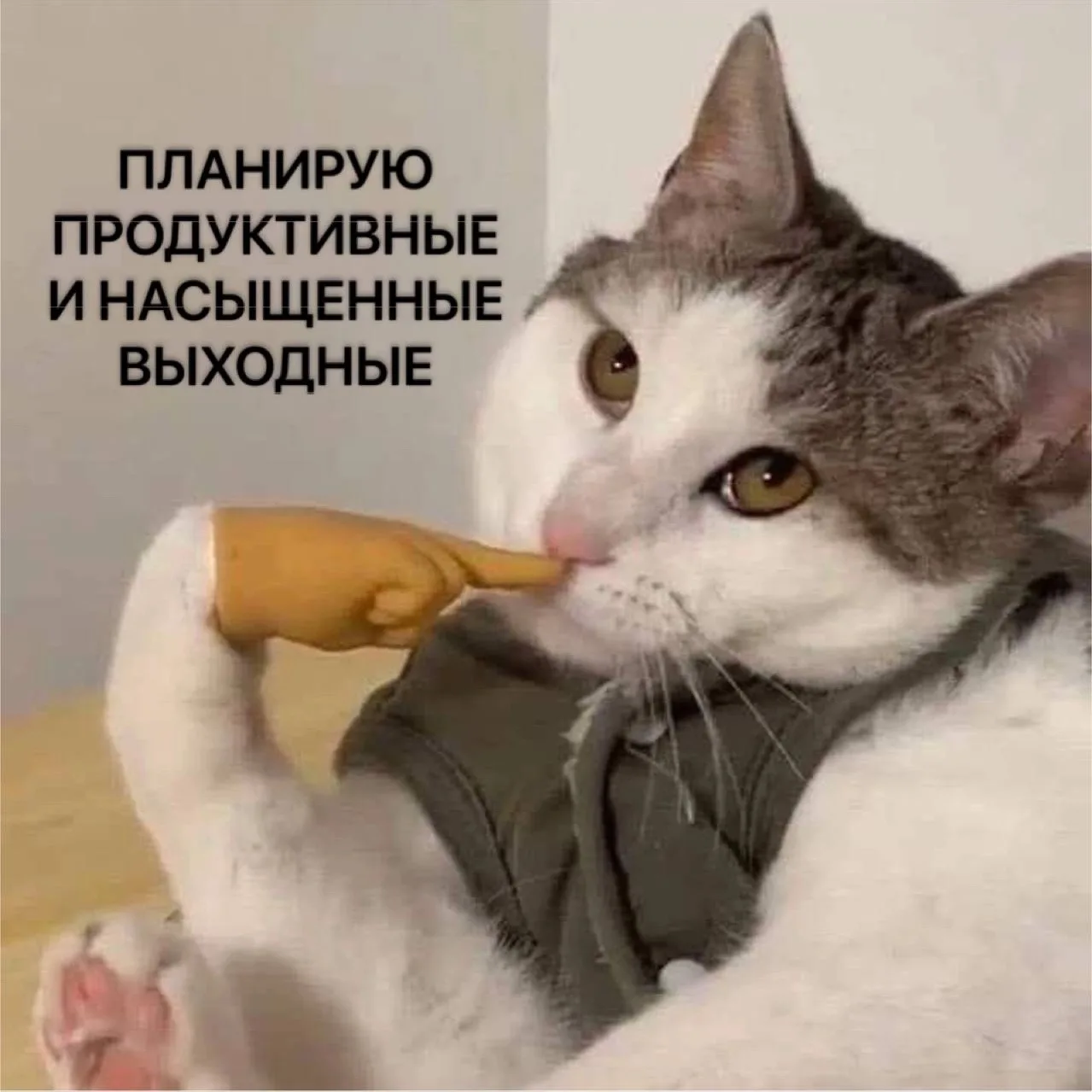 С пятницей, друзья! 🌸